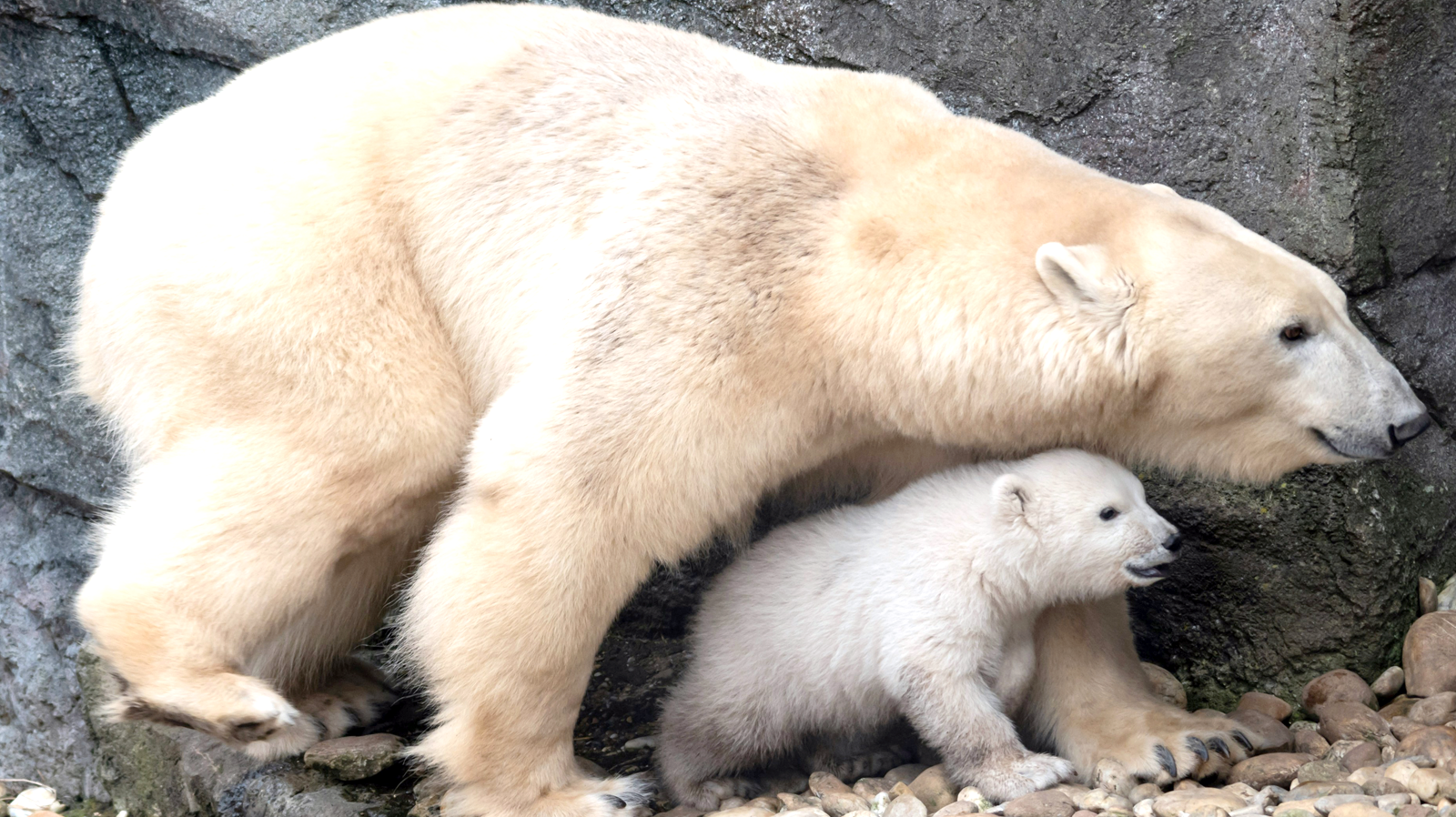 Techy Mothers Day Gift Guide - STORY SPARK