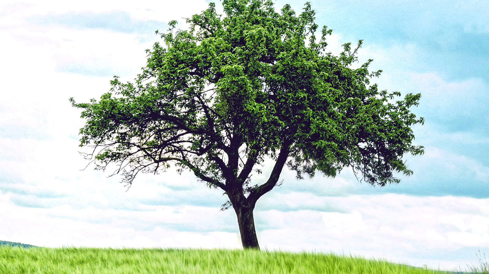 Earth Day and Sustainable Graphic T-shirts by STORY SPARK