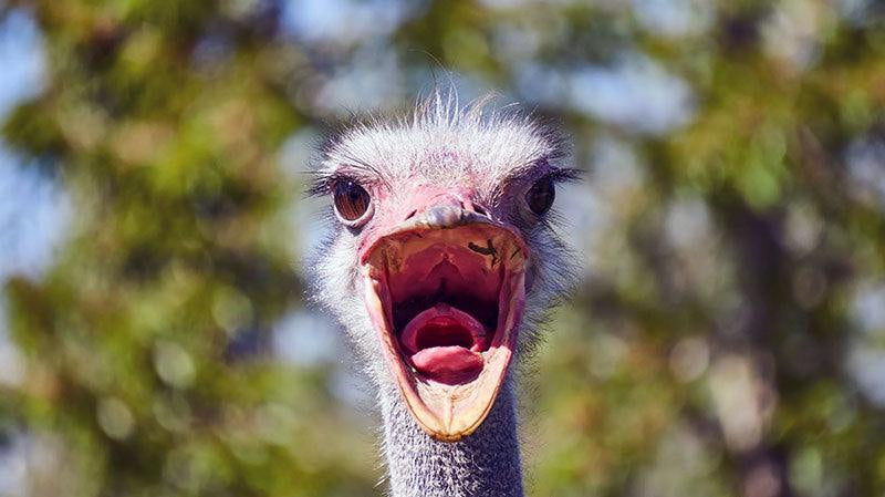 Dad jokes to make you smile