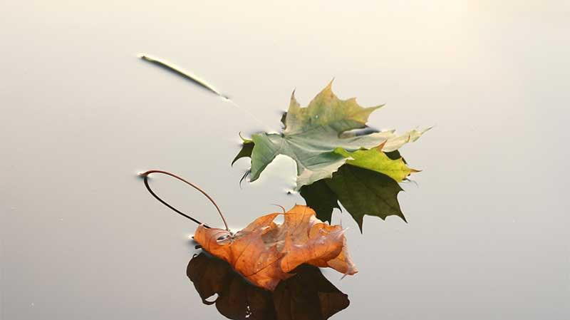 Fall Finds to Enhance Your Creativity - STORY SPARK