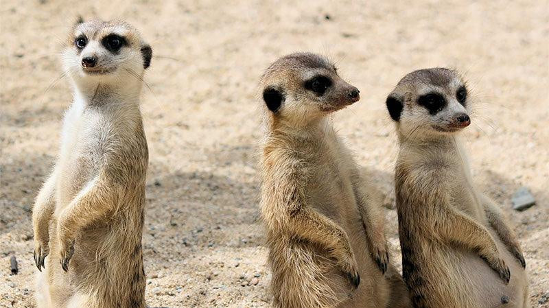 Overheard on Clubhouse - STORY SPARK