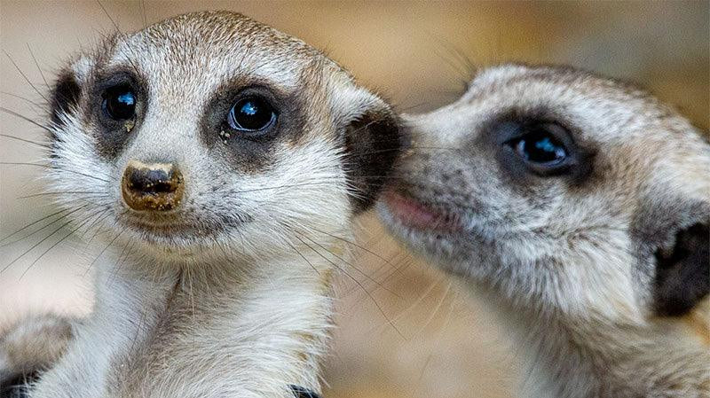 Overheard Quotes on Clubhouse by STORY SPARK