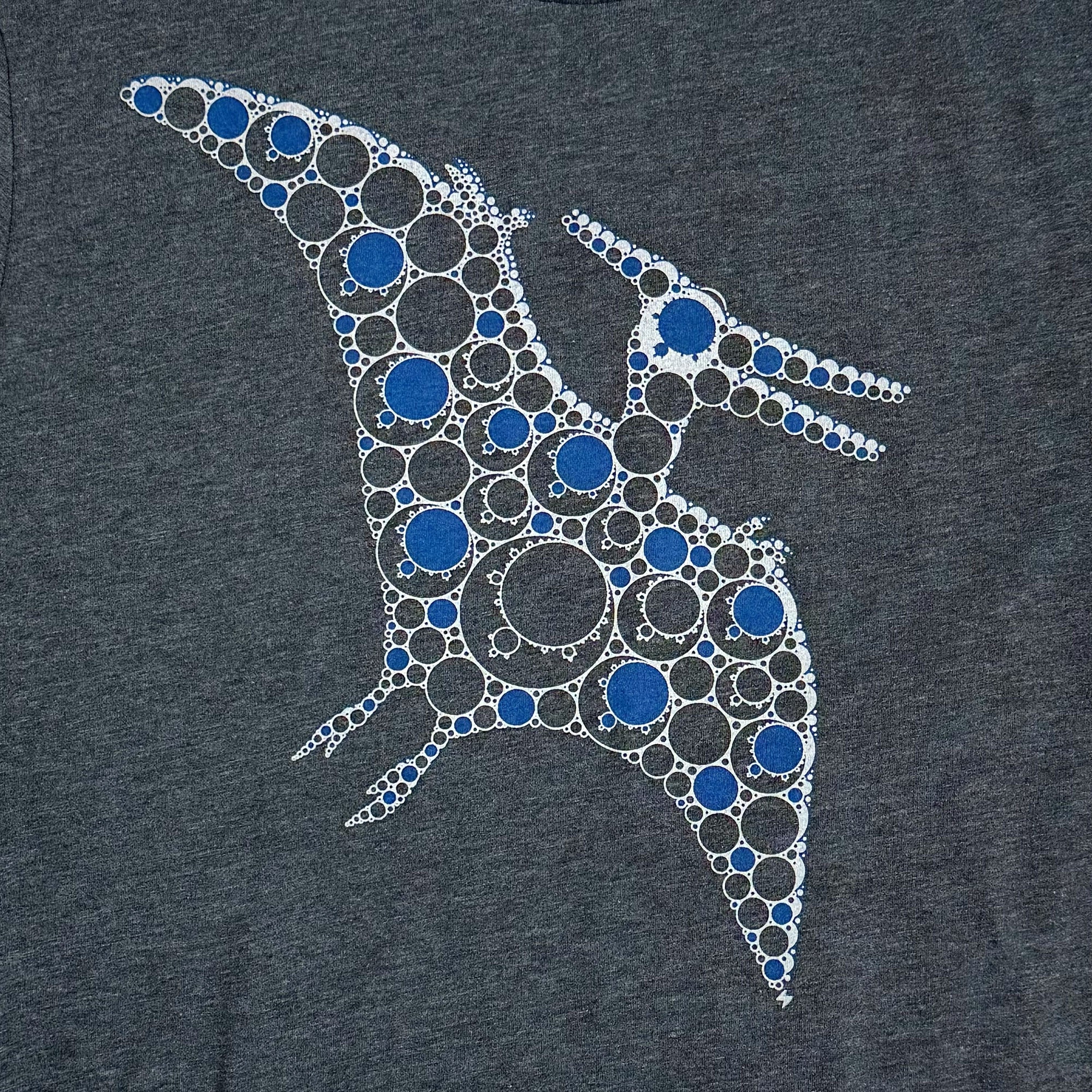 Unique math shirt with pterodactyl abd fractals design - Story Spark