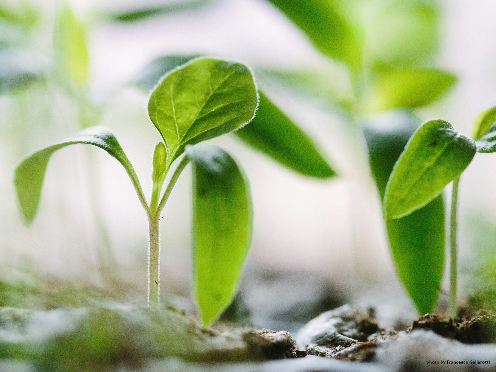 Eco Friendly Tech for Earth Month