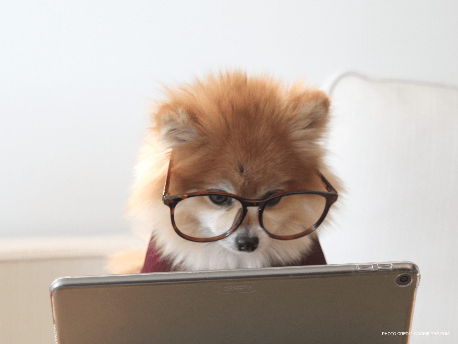 Mothers Day Gift Ideas