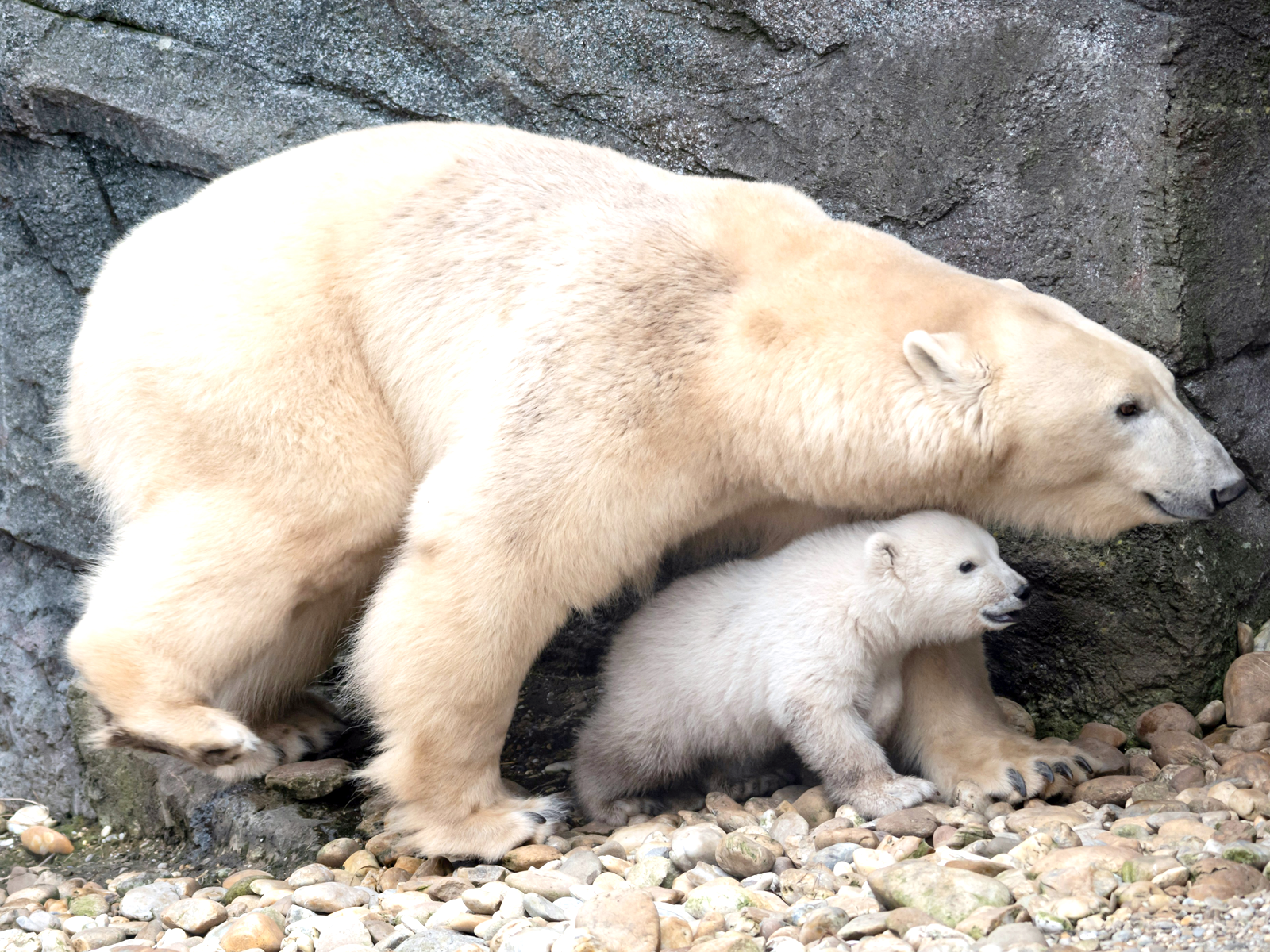 Techy Mothers Day Gift Guide - STORY SPARK