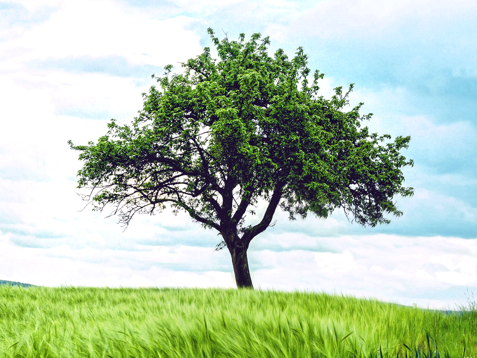 Earth Day and Sustainable Graphic T-shirts by STORY SPARK