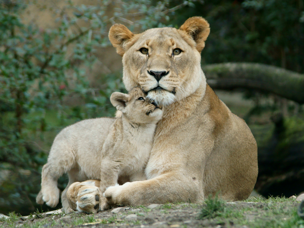 Mothers Day gift ideas