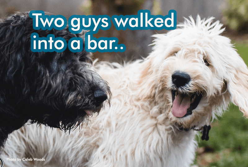 Dad Jokes to brighten your Father's Day