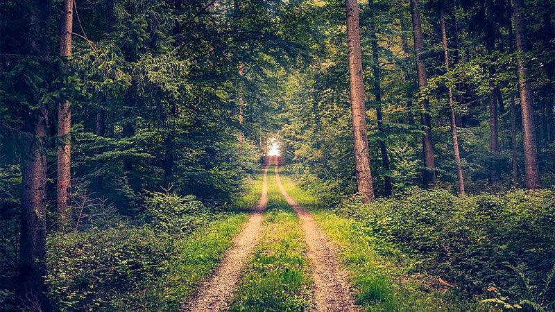 10 Tech Moderate Gift Ideas for Dad