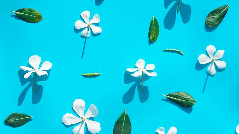 Techy Mothers Day Gift Ideas