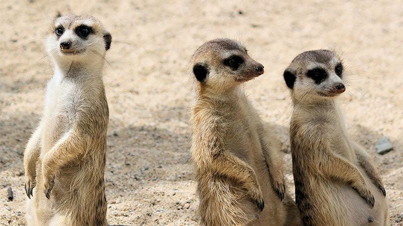 Overheard on Clubhouse - STORY SPARK