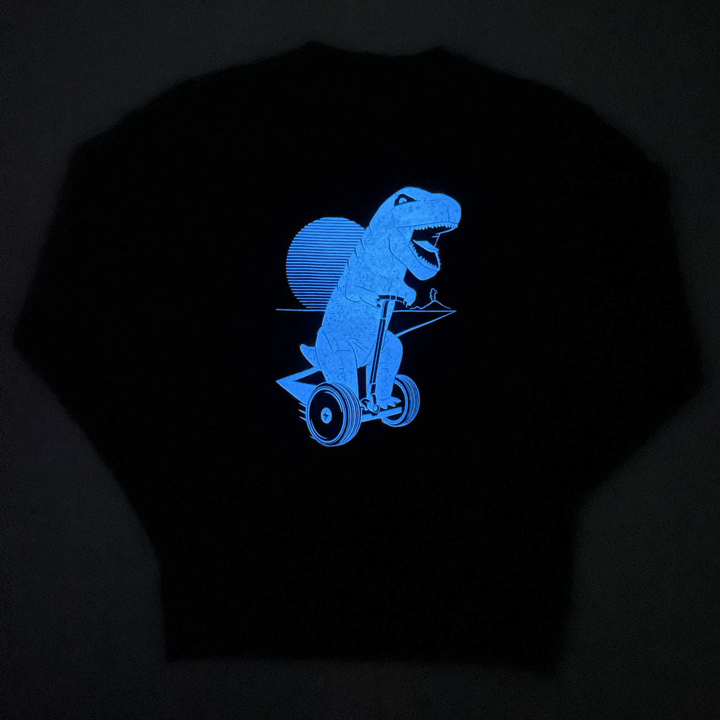 Glow in the Dark Dinosaur Sweatshirt - STORY SPARK